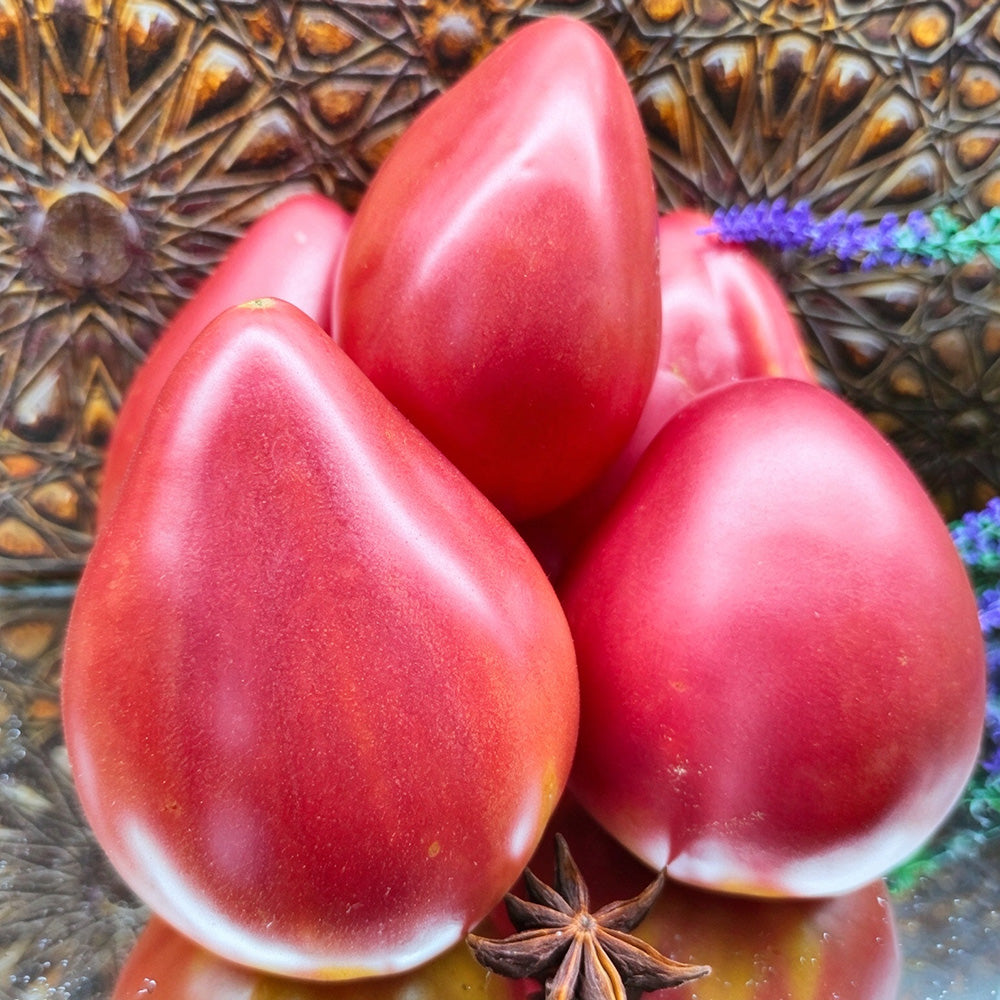 123 Calf's Heart Tomato