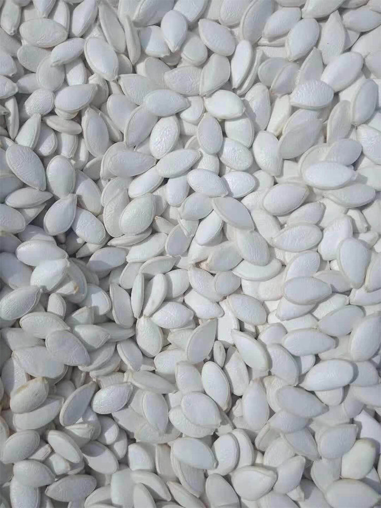 Qingyuan Black Stem Rootstock