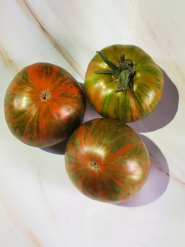 Siegel's Dark Striped Tomato