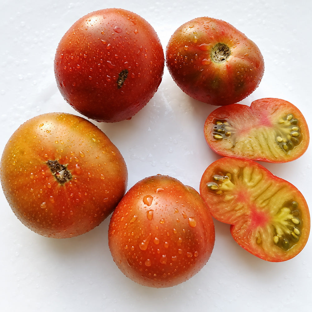 257 Viper Bicolor Unstriped Tomato