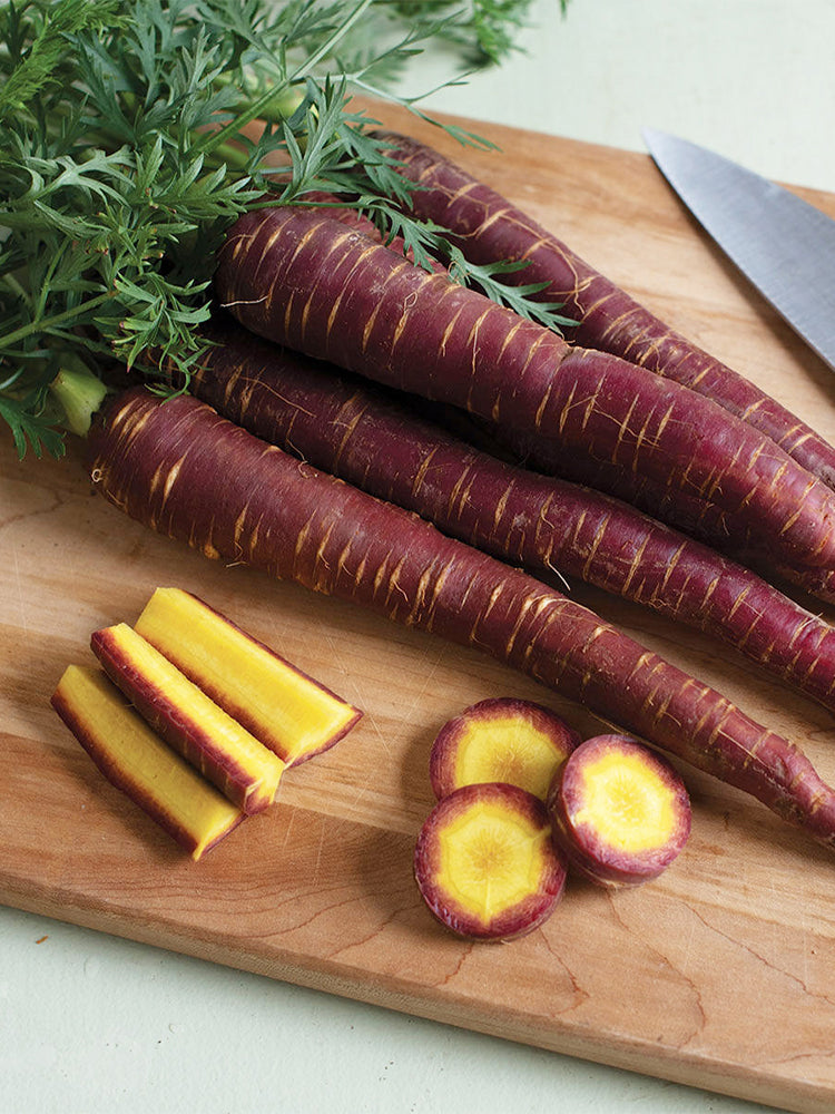 Purple Carrot F1