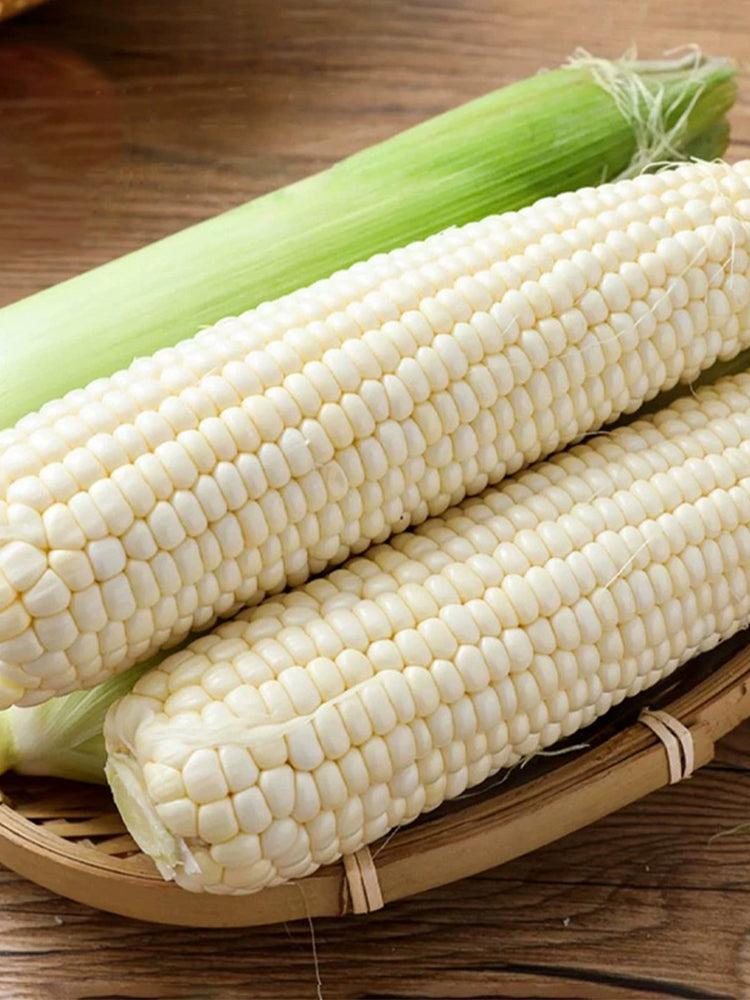 Sweet-waxy No.182 Corn