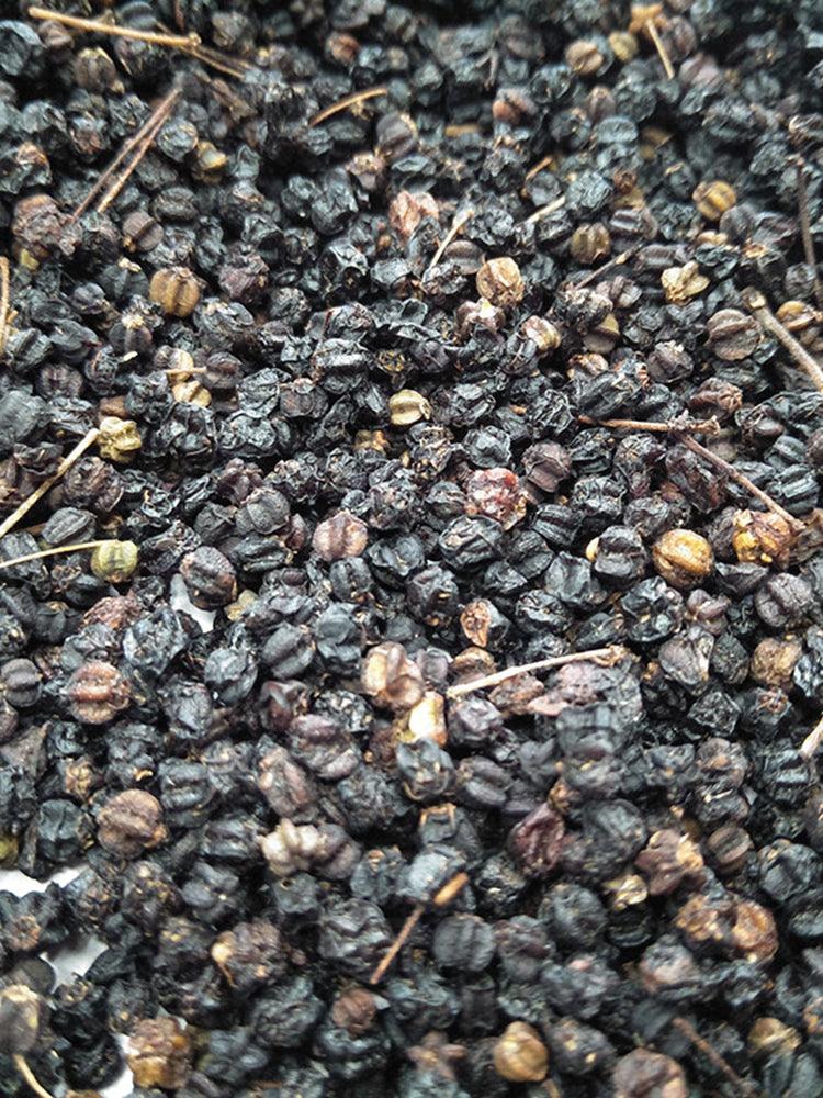 Aralia Shoots