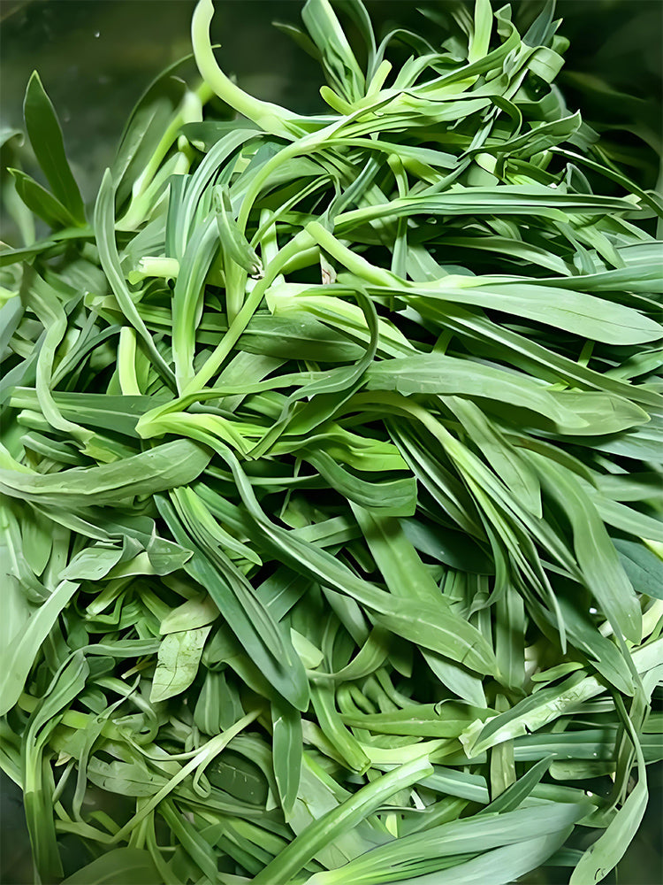 Noodle Vegetable