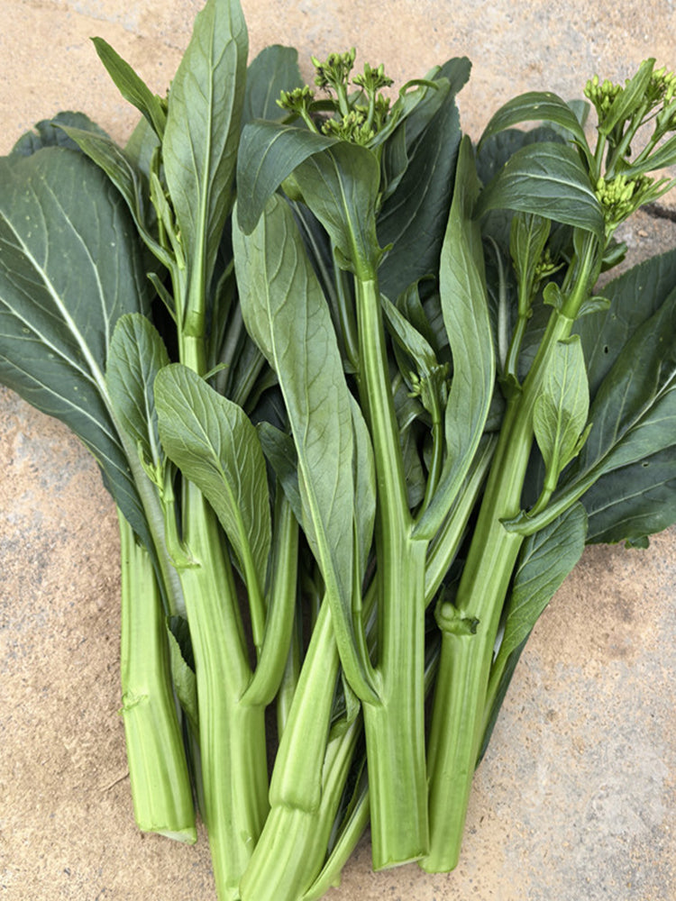 Meiqi No.1 Sweet Choy Sum