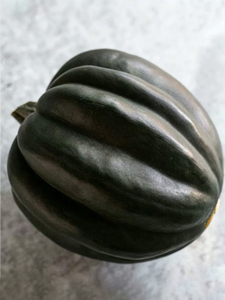 Acorn Squash