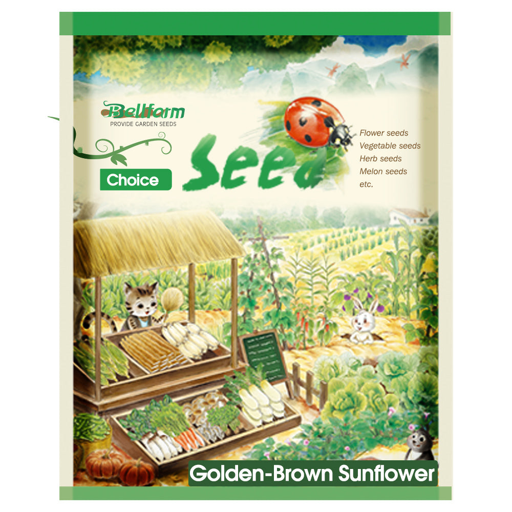 Golden-Brown Sunflower Seeds (60cm)