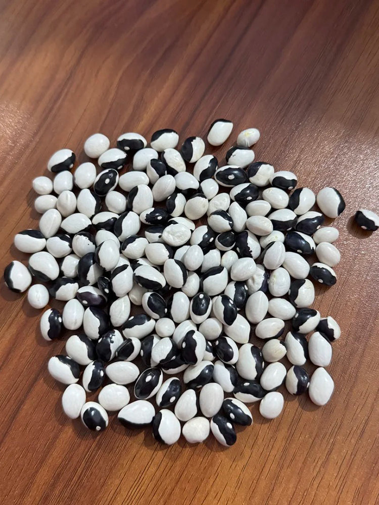 'Rabbit's White Eye' Oil Bean