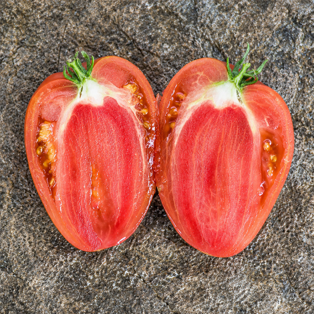 81 Mazarini Tomato