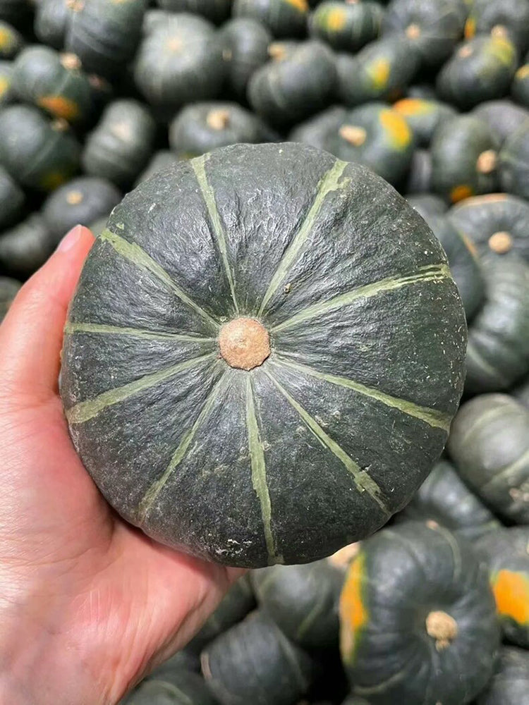 'Li Mei No. 1' Baby Pumpkin