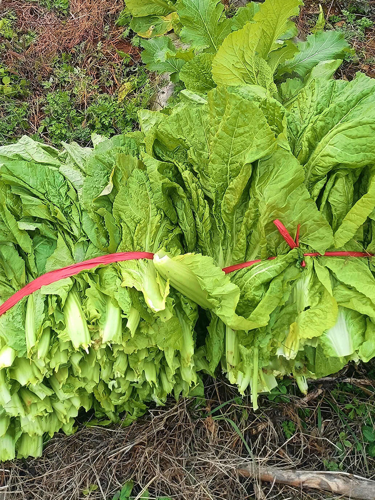 Sweet-Crispy Bamboo Mustard Green