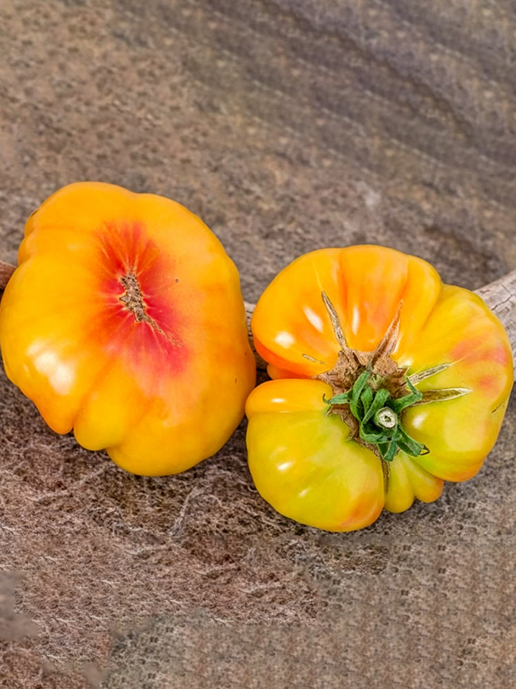 875 Big Rainbow Bicolor Tomato
