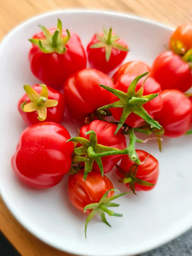 Accordion Cherry Tomato
