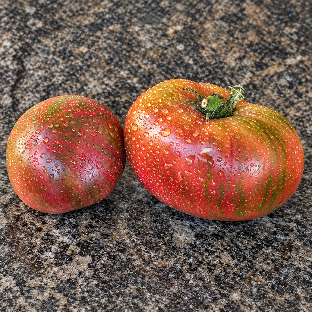 477 Dwarf Crimson Sockeye Tomato