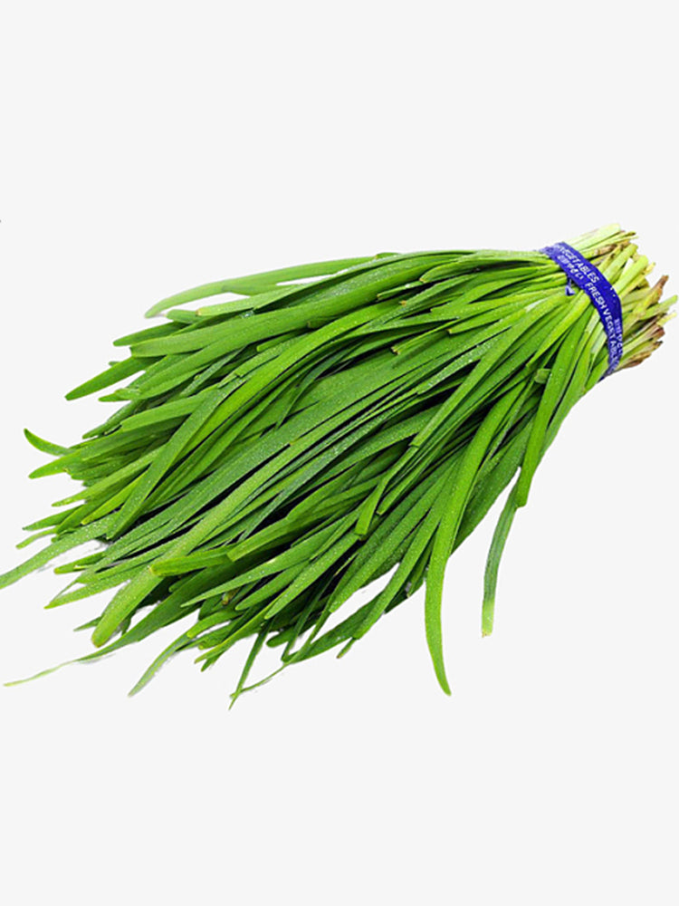 HUAJUN 791 Series Chinese Chives