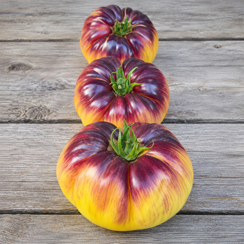 87 Sart Roloise Tomato