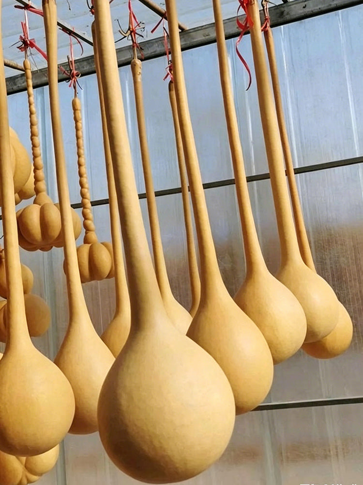Long Handle Gourd
