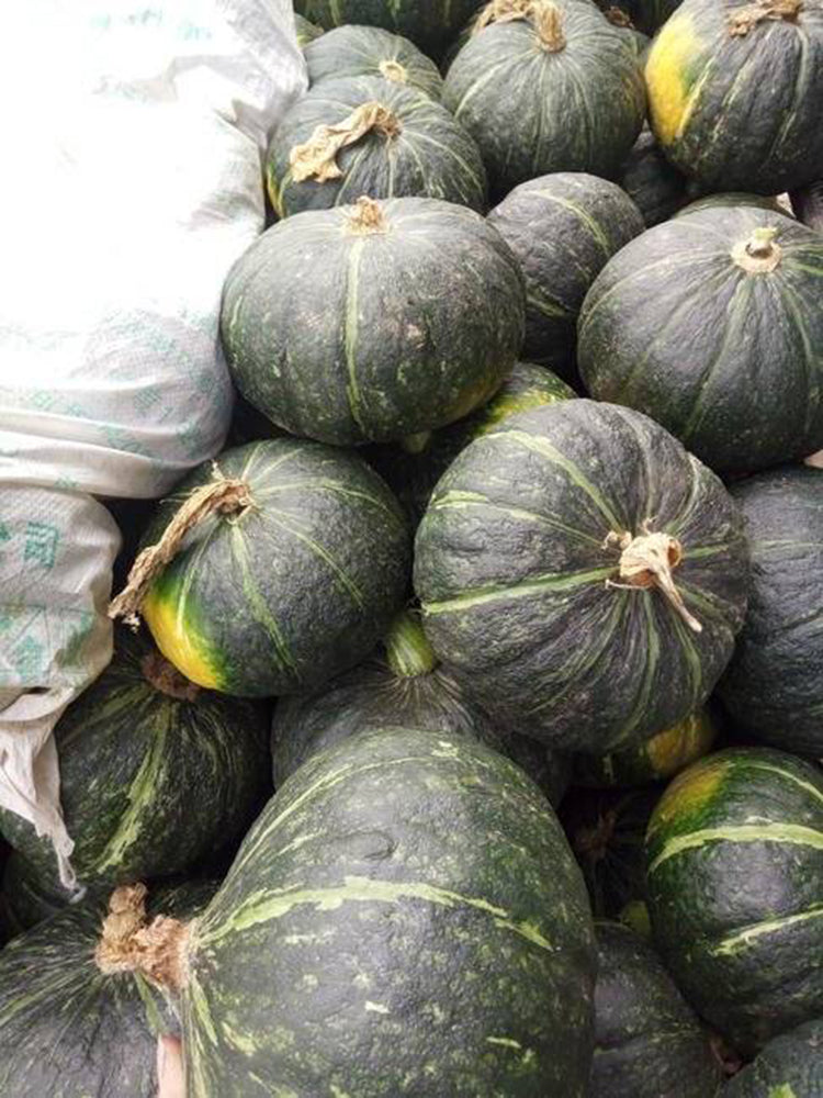 'Yi Nong Jin Li' Pumpkin