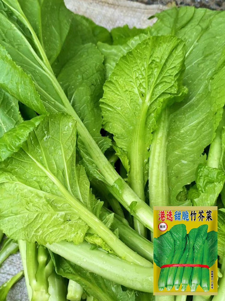 Sweet-Crispy Bamboo Mustard Green