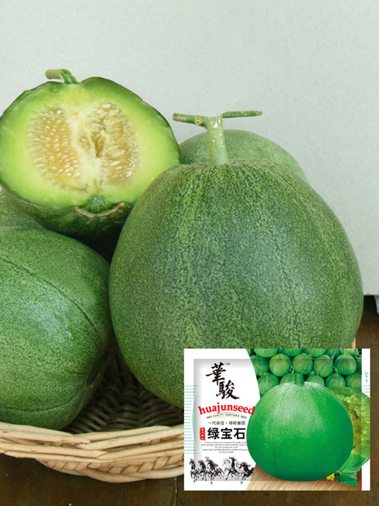 Huajun Emerald Sweet Melon