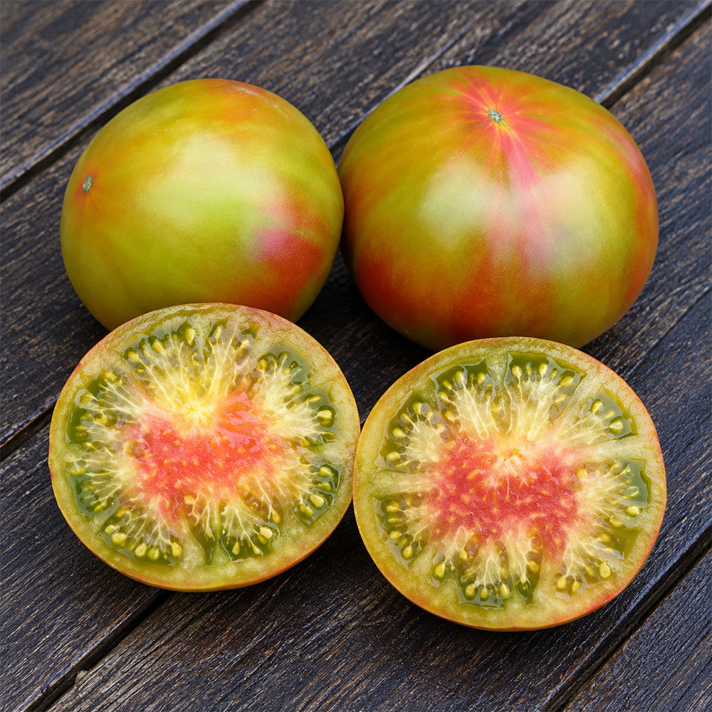 168 Kozula 72 Tomato