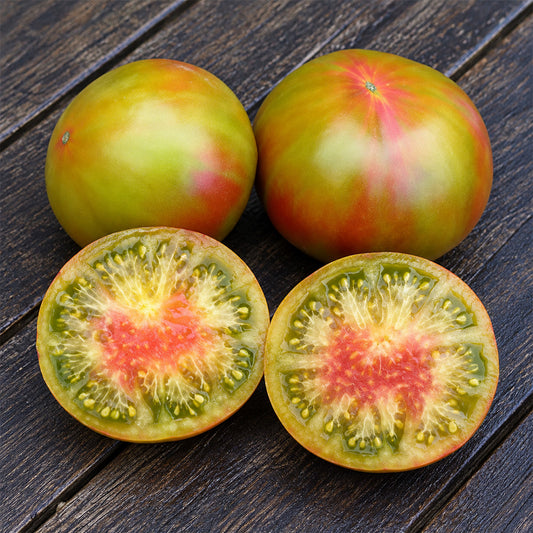 168 Kozula 72 Tomato