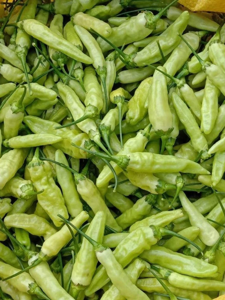 Pickling Pepper