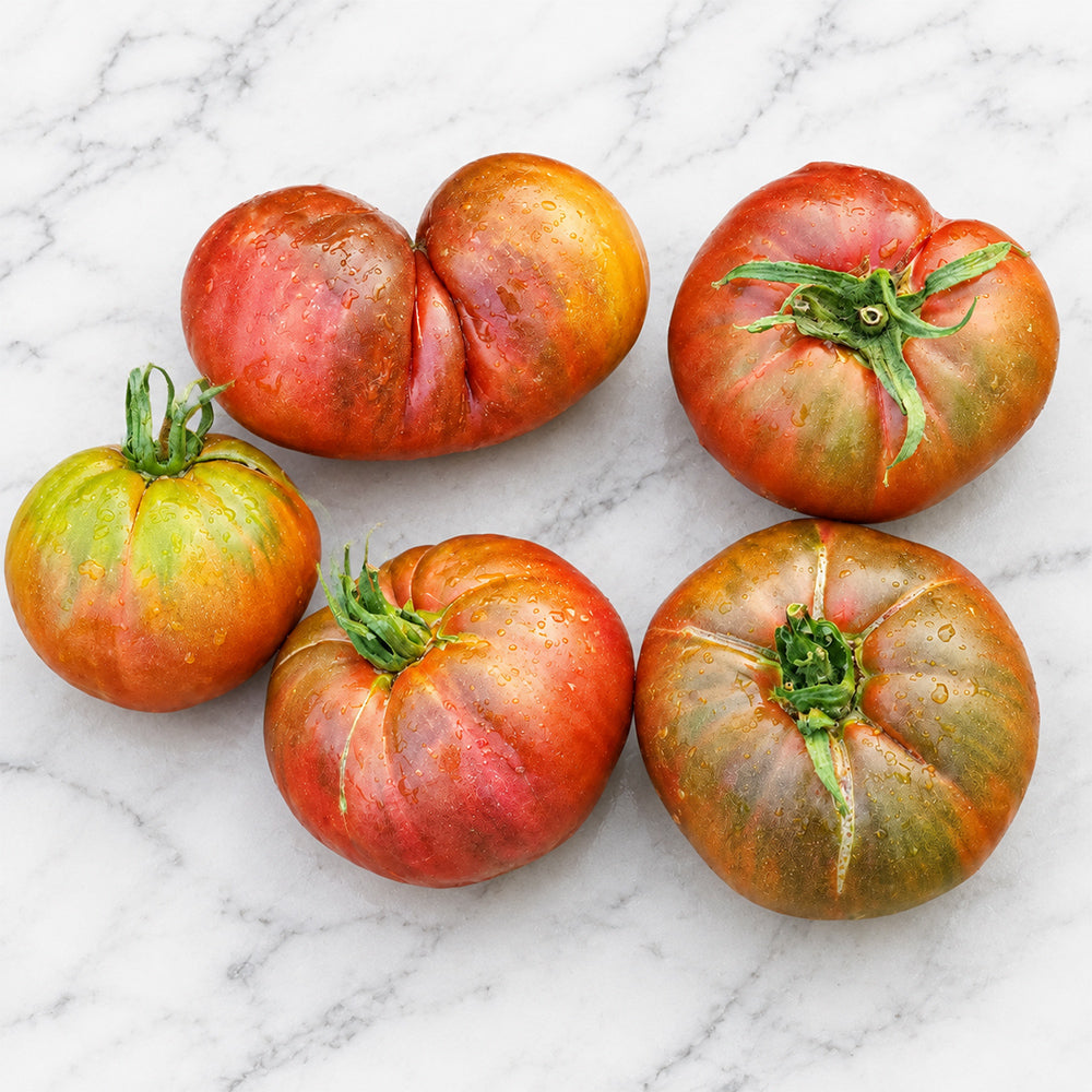 54 Jarson 18/4 Tomato