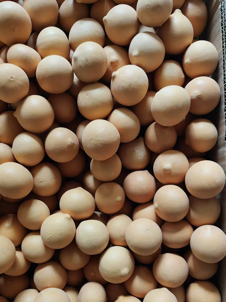Egg Gourd