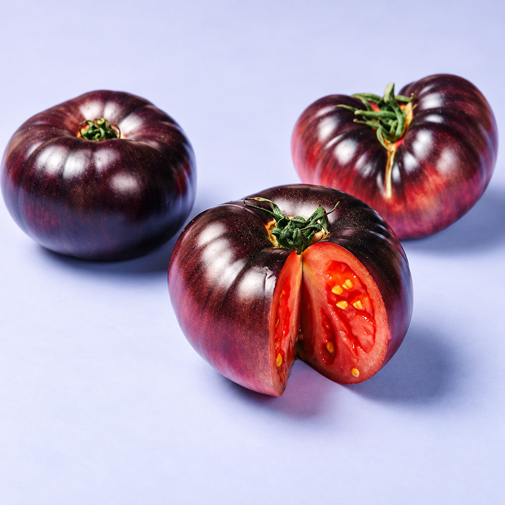 581 Mar Azul Tomato