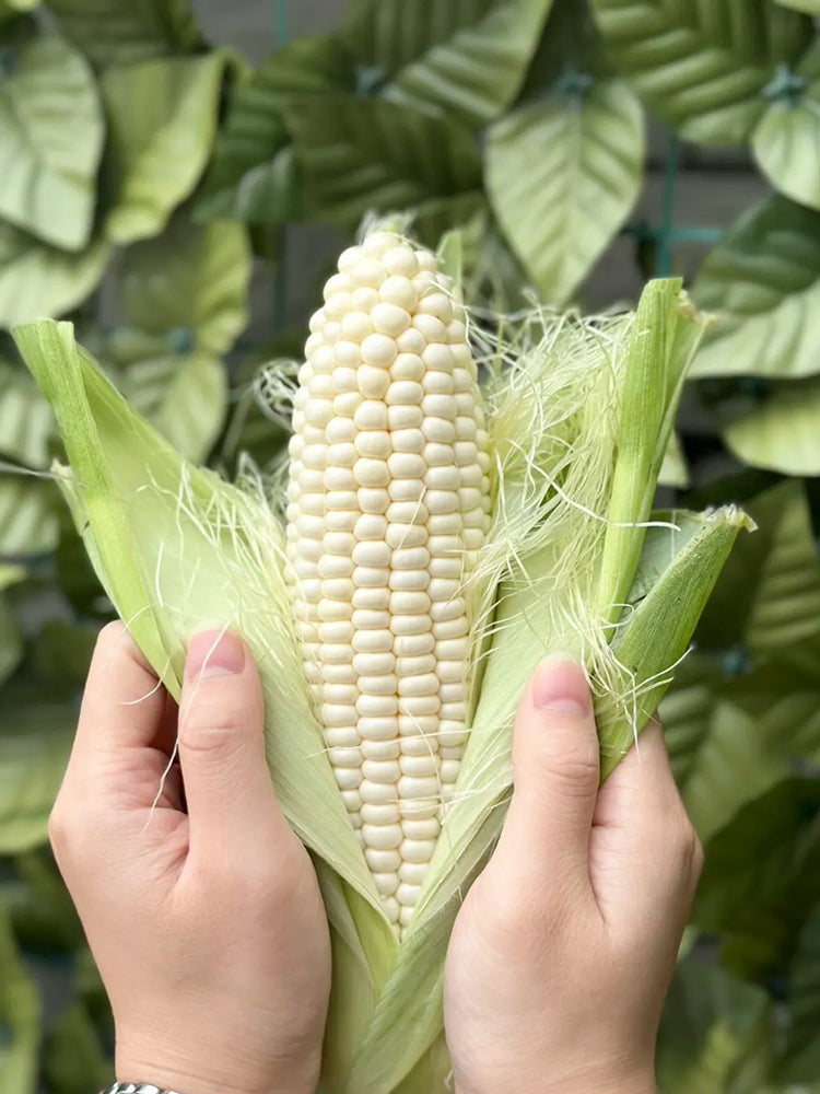 Milk Fruit Sweet Corn