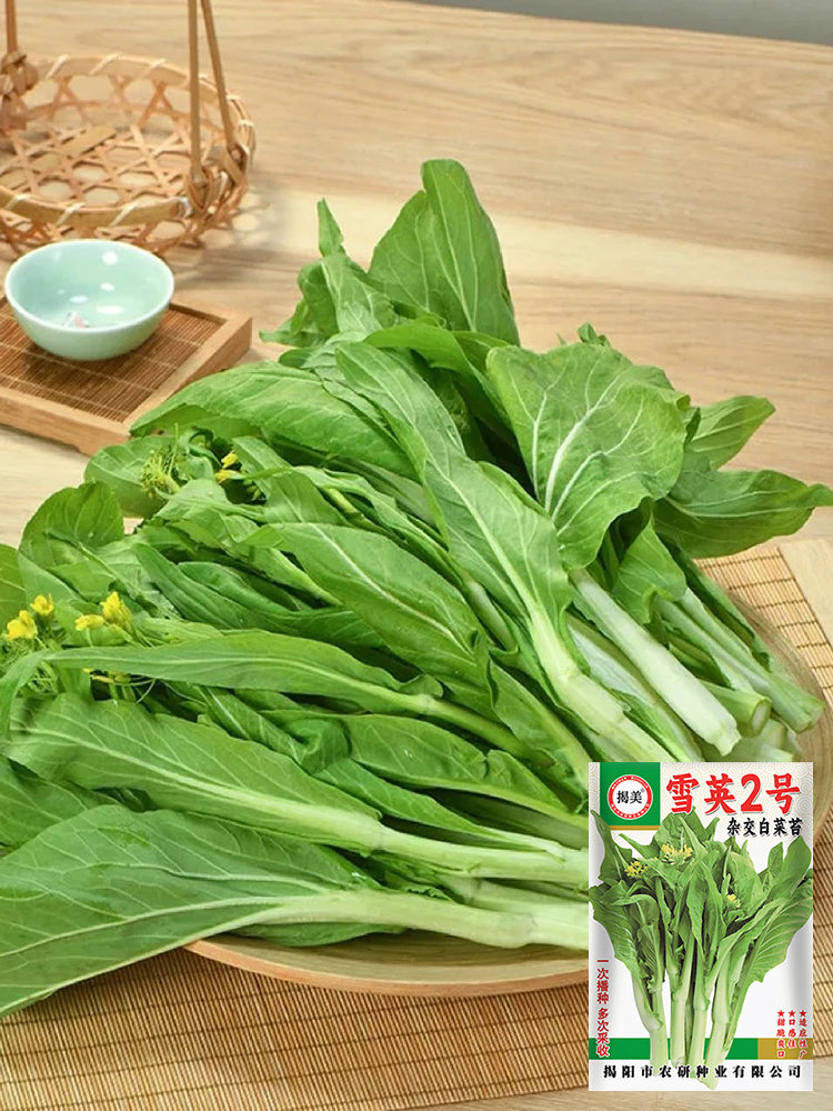 Xueying No. 2 Choy Sum