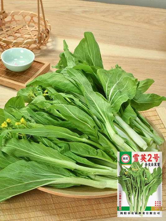 Xueying No. 2 Choy Sum