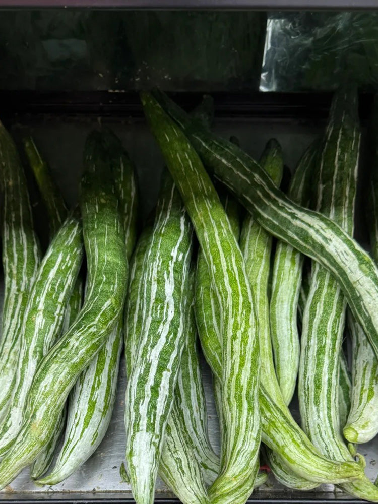 Argentina Snake Gourd