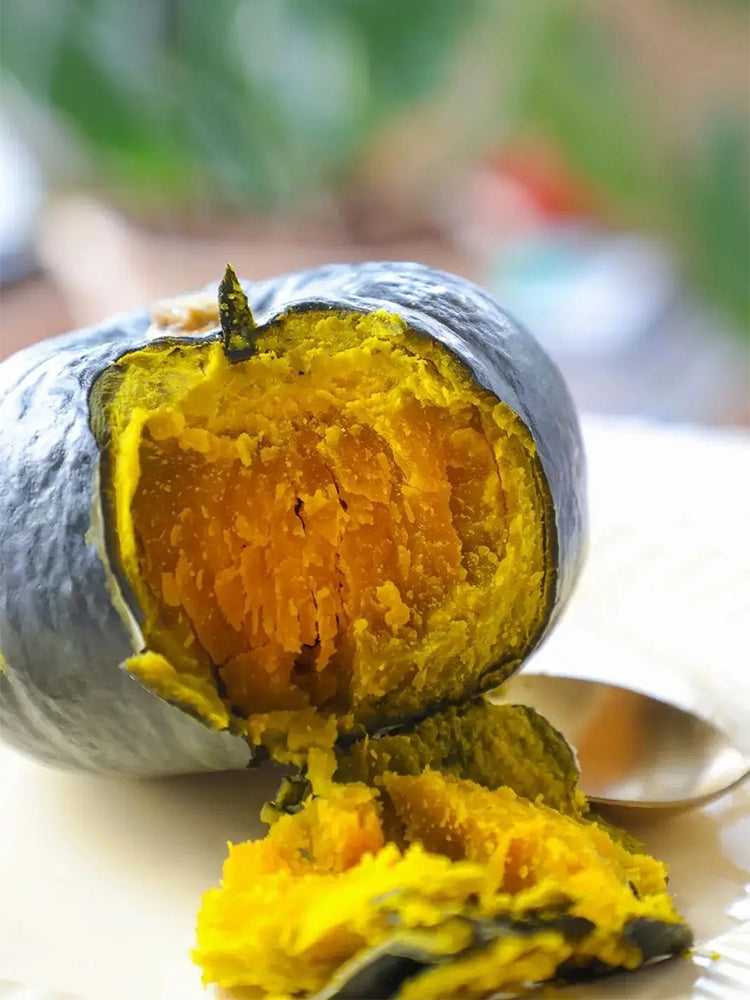 Tianbei No.6 Pumpkin