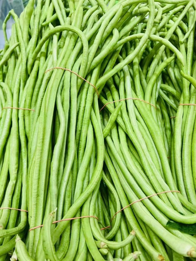 Shengcui No.2 Cowpea