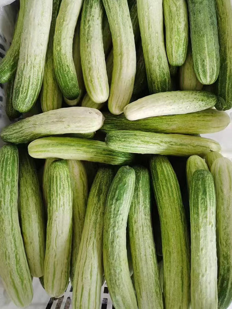 Yanbai No.7 White Cucumber