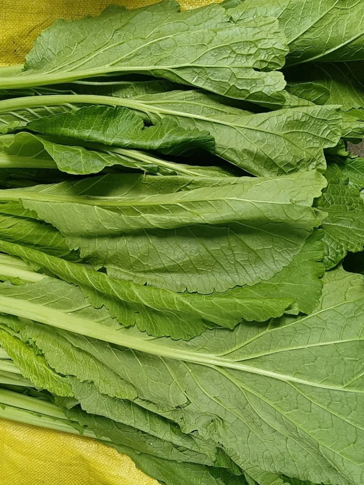 Dwarf Sweet Spring Choi