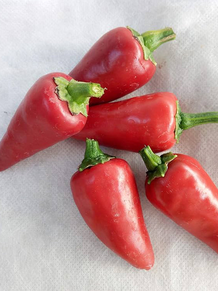 Syrian Has Goli Hot Pepper