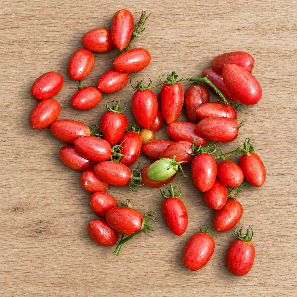 52 Cherry Pink Cat Tomato