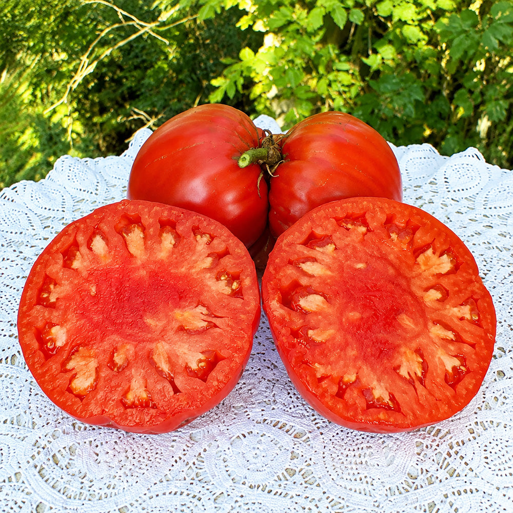 262 Mega Marv Tomato