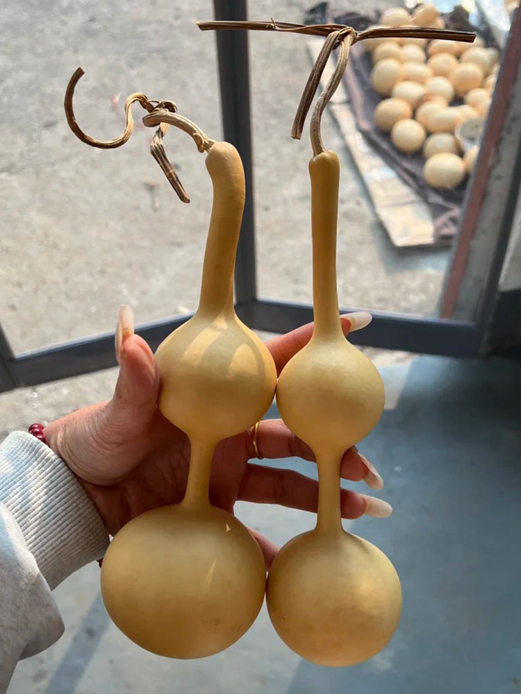 Xiaosan Ting Gourd