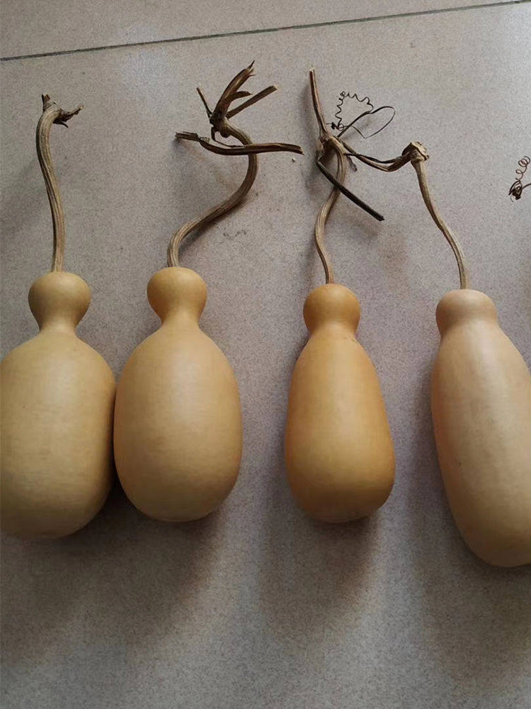 Flower Bottle Gourd