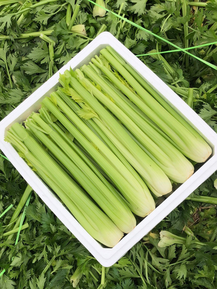 Crispy Jade Celery
