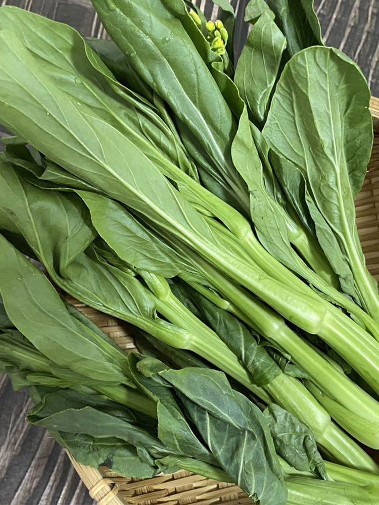 Green Tender Sweet Choy Sum