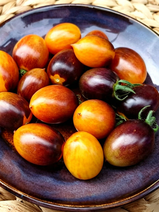 1090 Cherry Tomato