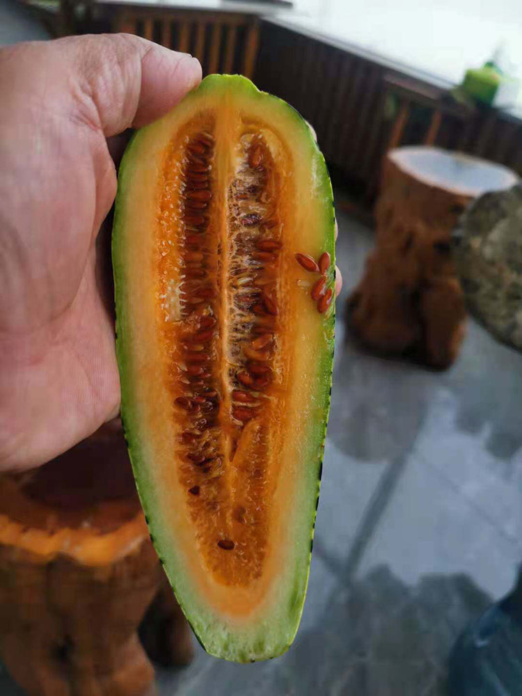 Golden Honey Crisp Melon