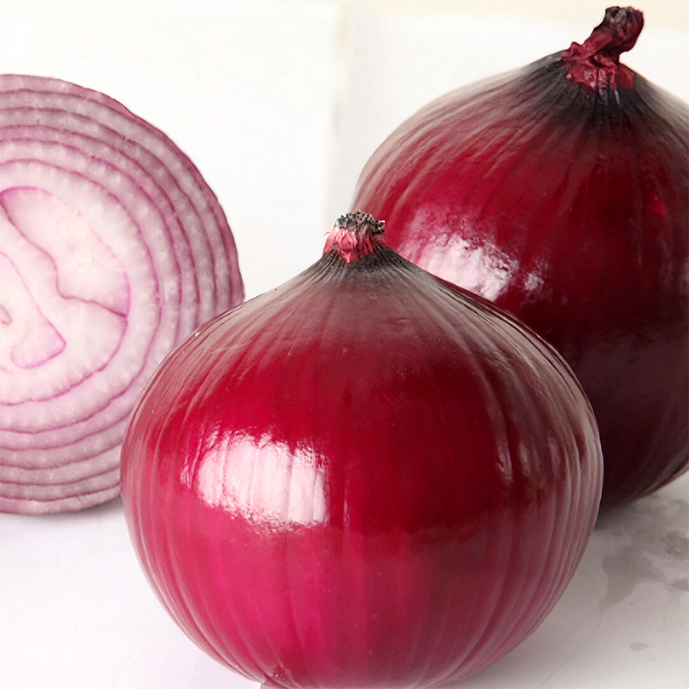 5 Bags (500 Seeds/Bag) of Exquisite Red Onion Seeds