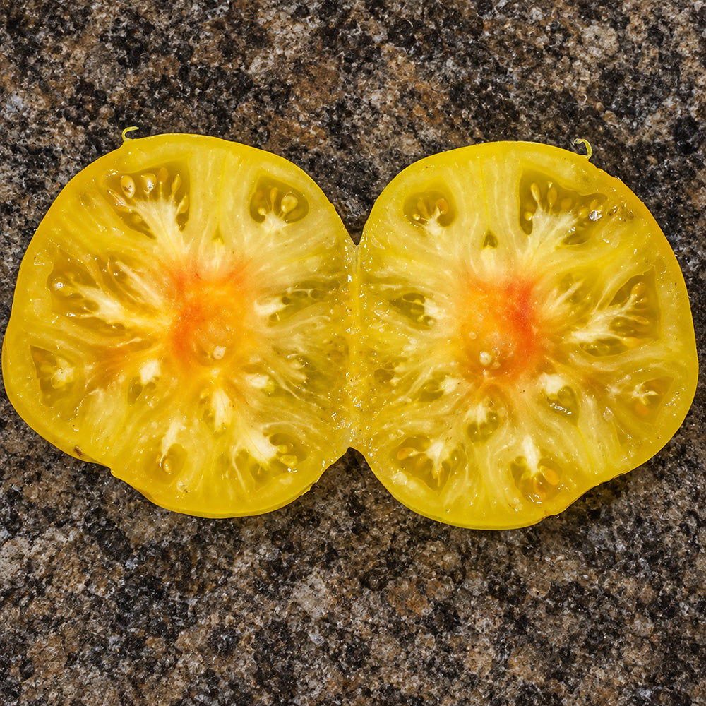 470 Dean's Rainbow Dwarf Tomato