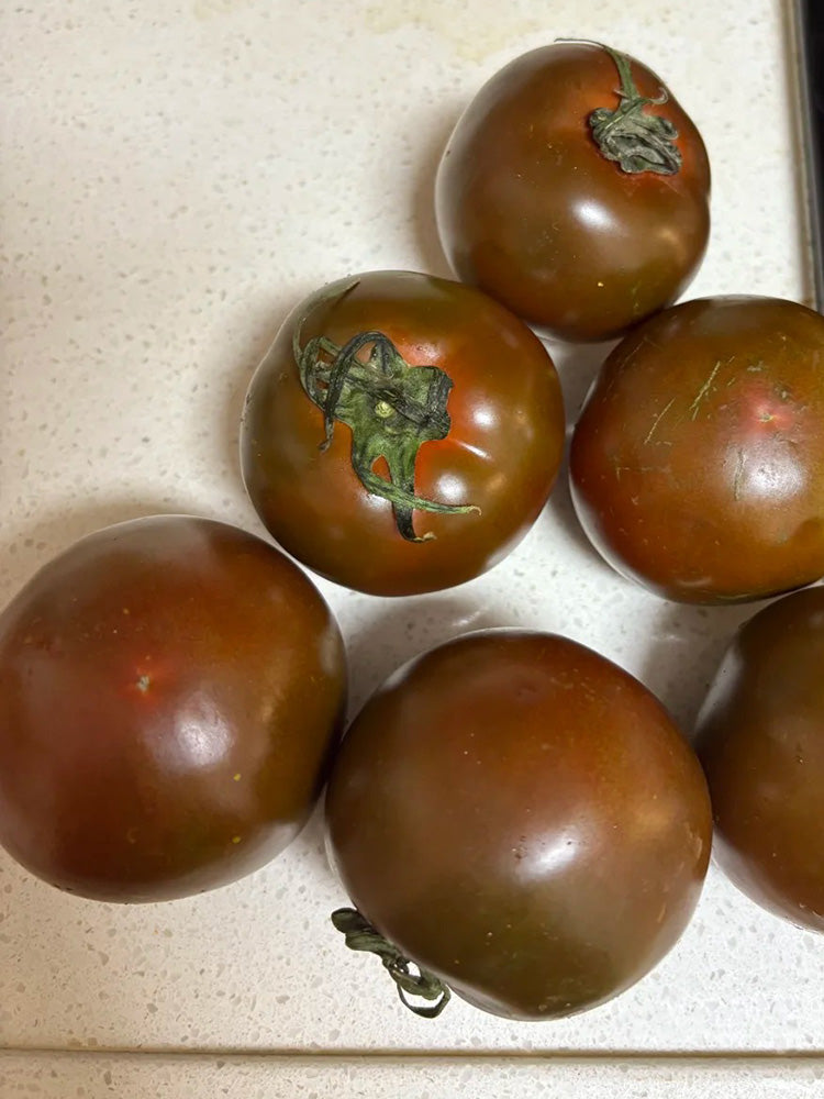 Chocolate Tomato